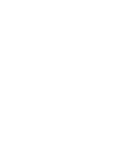 Light Icon